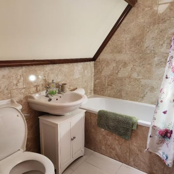 snowdon bathroon 2